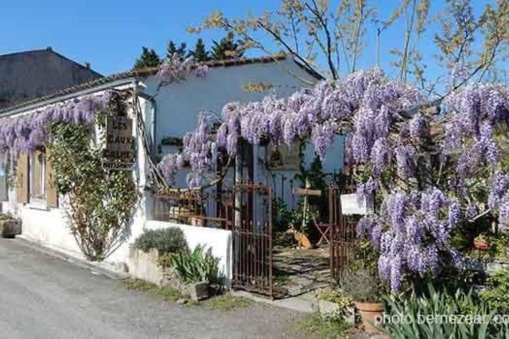 Maison Coquelicots - 4 Personnes - Jardin Mornac-sur-Seudre Εξωτερικό φωτογραφία